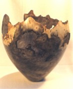 Buckeye 1 Thmb