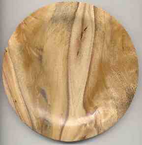 Cottonwood Plate Thmb