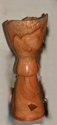 Ecualyptus Lamp