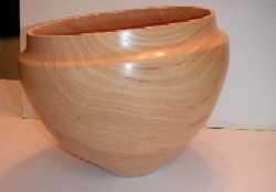 Ficus Bowl Large 1 Thmb.