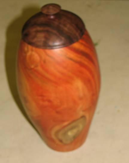 Hollowvessel Dec07