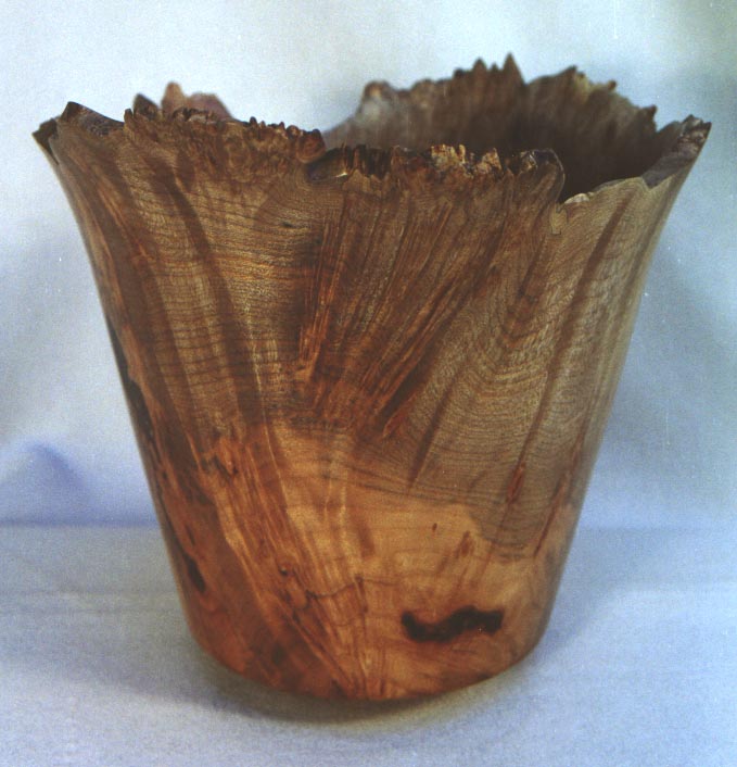 Maple1