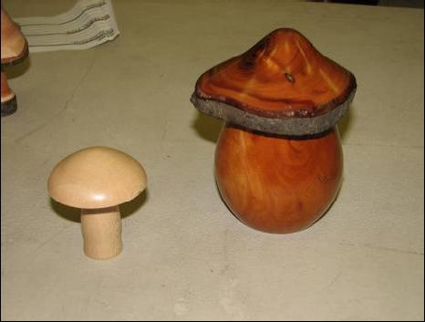 Mushroom Mar08