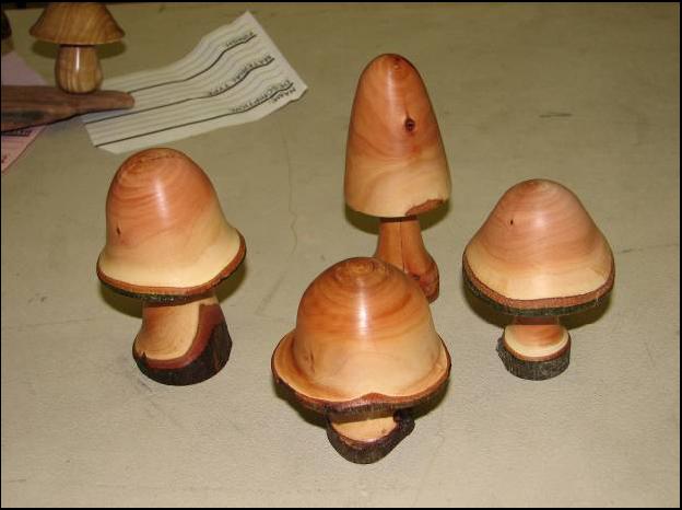Mushroom Mar08