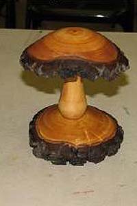 Mushroom Mar08