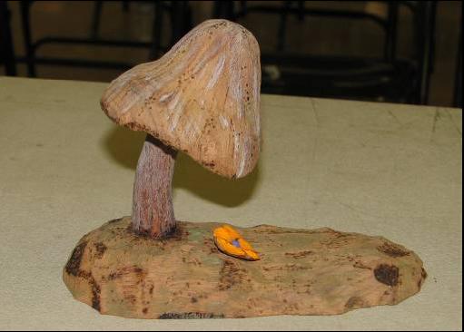 Mushroom Mar08