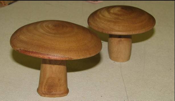 Mushroom Mar08
