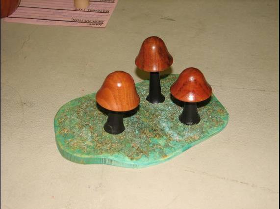 Mushroom Mar08