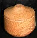 Silky Oak 1 Thmb