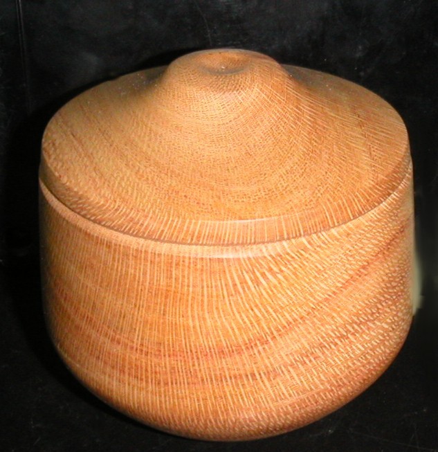 Silky Oak 1